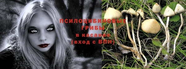 трава Аркадак