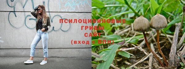 трава Аркадак