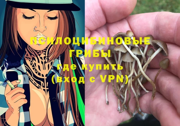 трава Аркадак