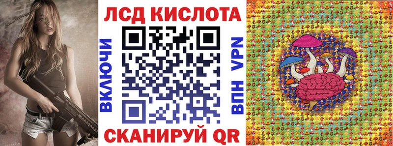 дарнет шоп  Лахденпохья  Марки N-bome 1,8мг 